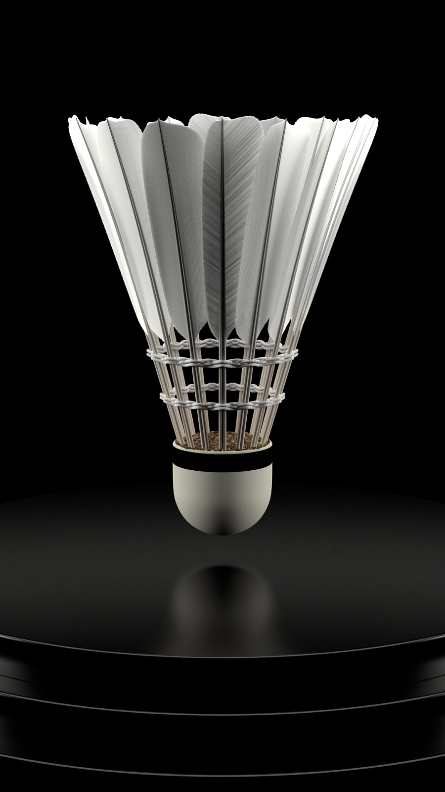 职业生涯的 职业生涯的