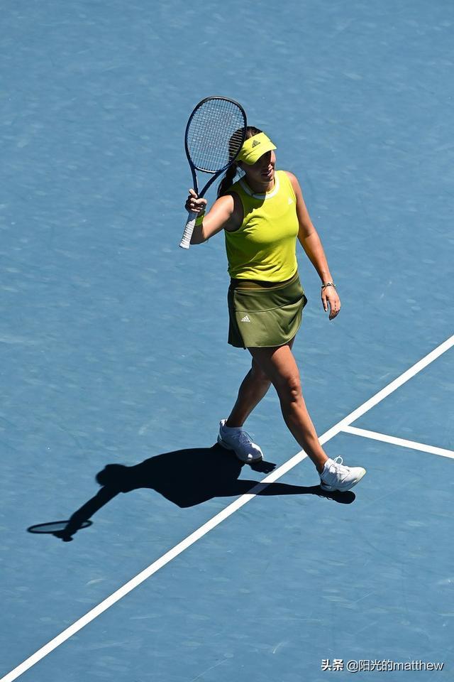 的重要拼图 的重要拼图